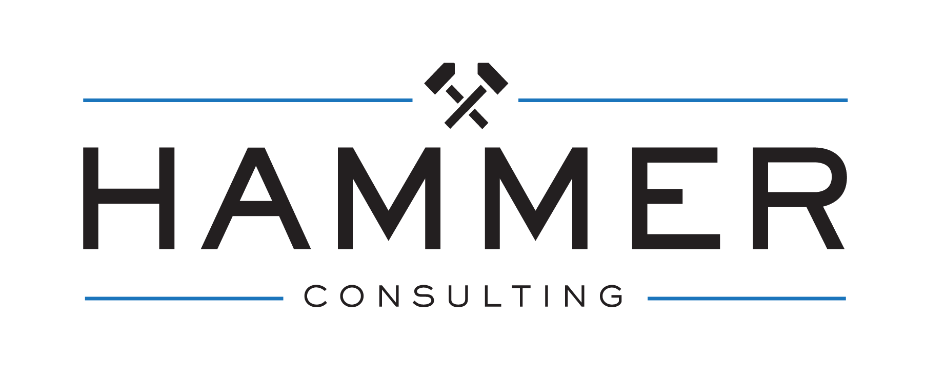 Hammer Consulting
